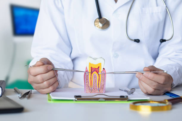 Best Dentist for Dental Trauma  in Upper Sandusky, OH